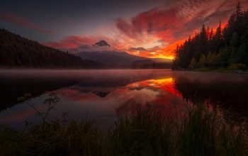 Ryan Dyar